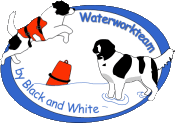 (c) Waterworkteam-black-white.com